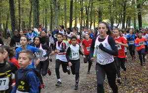 Résultats cross de la Butte Verte 2019