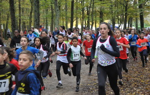 Résultats cross de la Butte Verte 2019