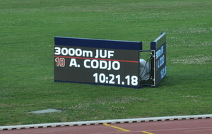 5d23803290e38_CSC0298.JPG