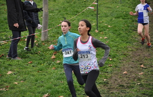 5e1cb197c9567_DSC0176.JPG
