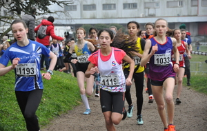 5e2dd1aa7202d_DSC0263.JPG