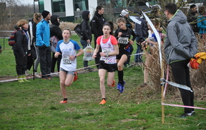 5e4058a92ec0e_DSC0014.JPG
