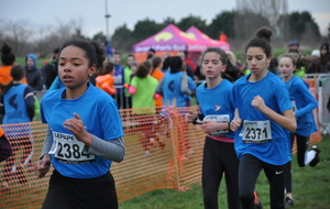 5e4058abdeb5d_DSC0012.JPG