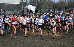 CHAMPIONNATS DE CROSS MONTESSON