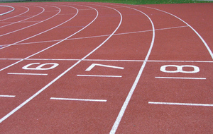 Championnats Régionaux en salle ES-SE (Eaubonne)