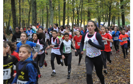 Résultats cross de la Butte Verte 2019